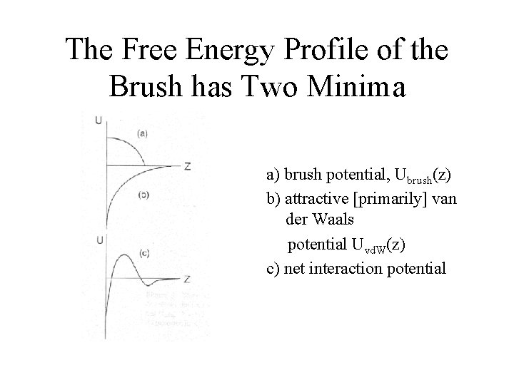 The Free Energy Profile of the Brush has Two Minima a) brush potential, Ubrush(z)