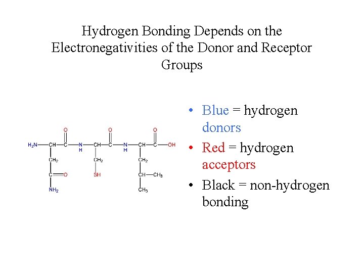 Hydrogen Bonding Depends on the Electronegativities of the Donor and Receptor Groups • Blue