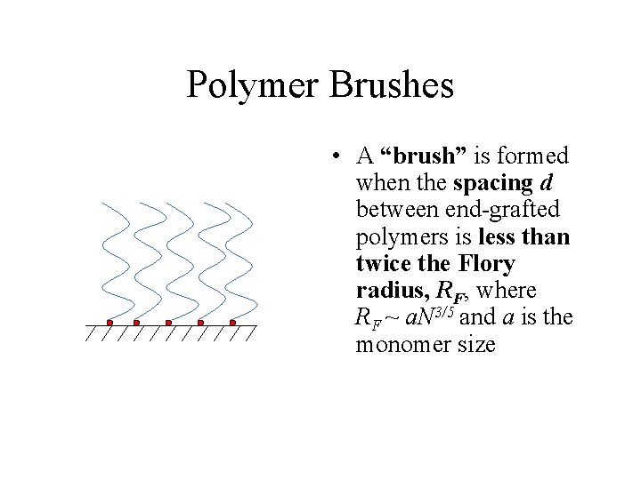 Polymer Brushes • A “brush” is formed when the spacing d between end-grafted polymers