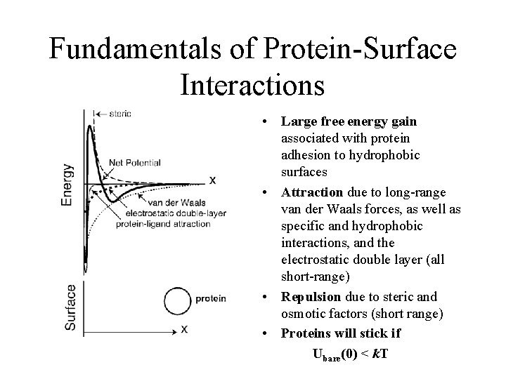 Fundamentals of Protein-Surface Interactions • Large free energy gain associated with protein adhesion to