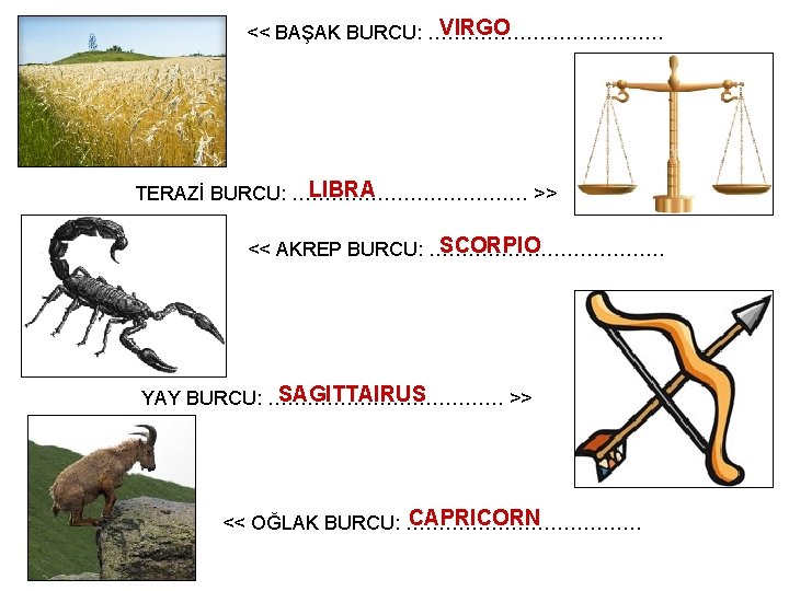 VIRGO << BAŞAK BURCU: ……………… LIBRA TERAZİ BURCU: ……………… >> SCORPIO << AKREP BURCU: