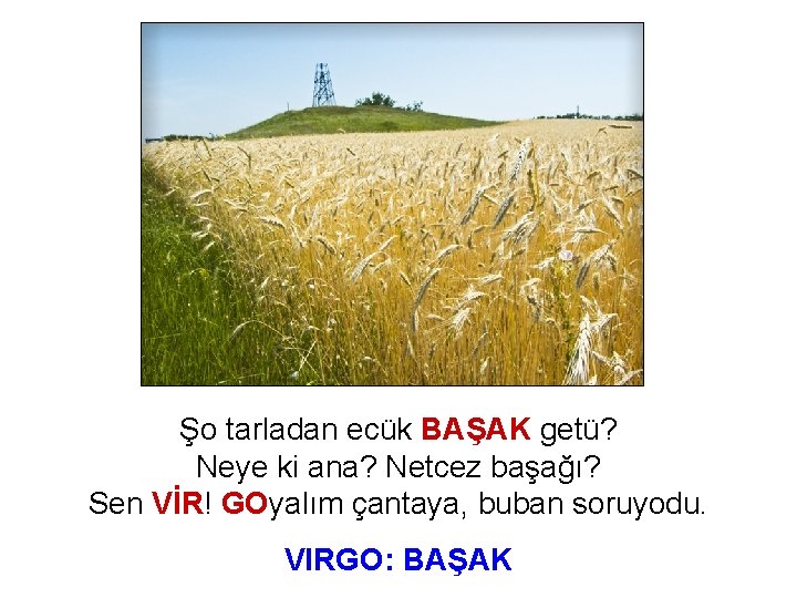 Şo tarladan ecük BAŞAK getü? Neye ki ana? Netcez başağı? Sen VİR! GOyalım çantaya,