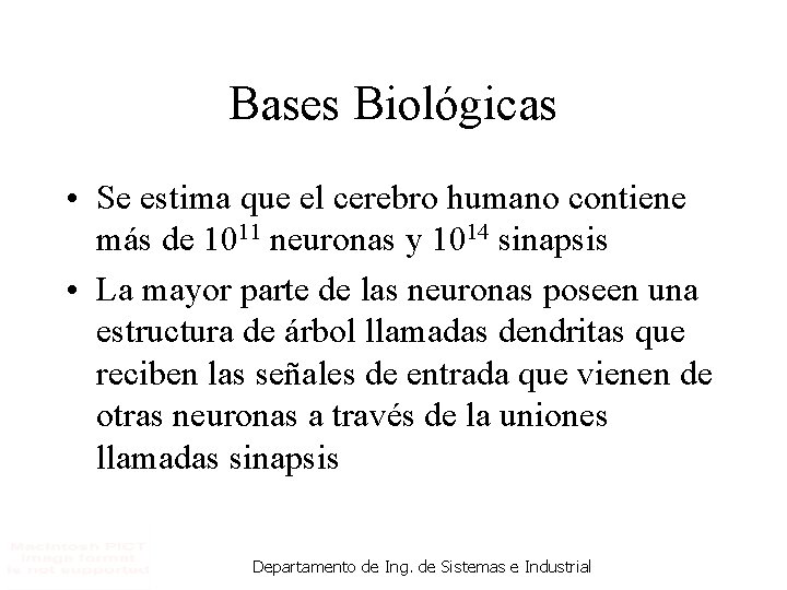 Bases Biológicas • Se estima que el cerebro humano contiene más de 1011 neuronas