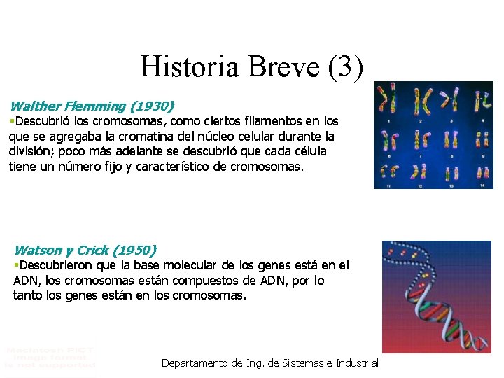Historia Breve (3) Walther Flemming (1930) §Descubrió los cromosomas, como ciertos filamentos en los