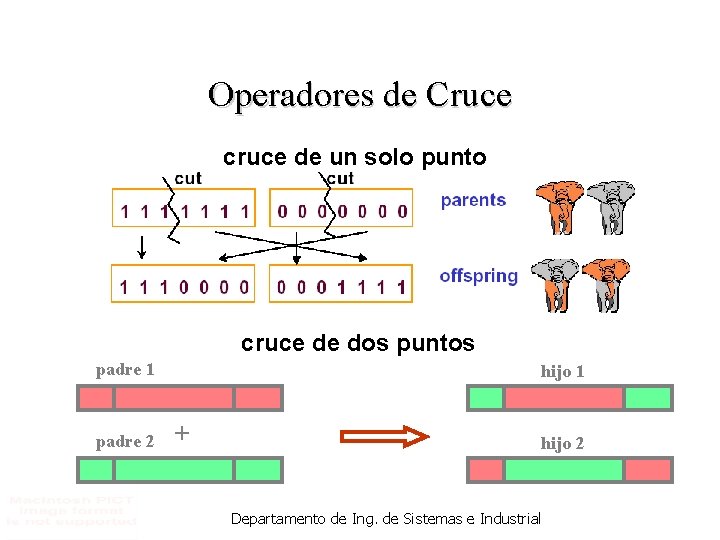 Operadores de Cruce cruce de un solo punto cruce de dos puntos padre 1