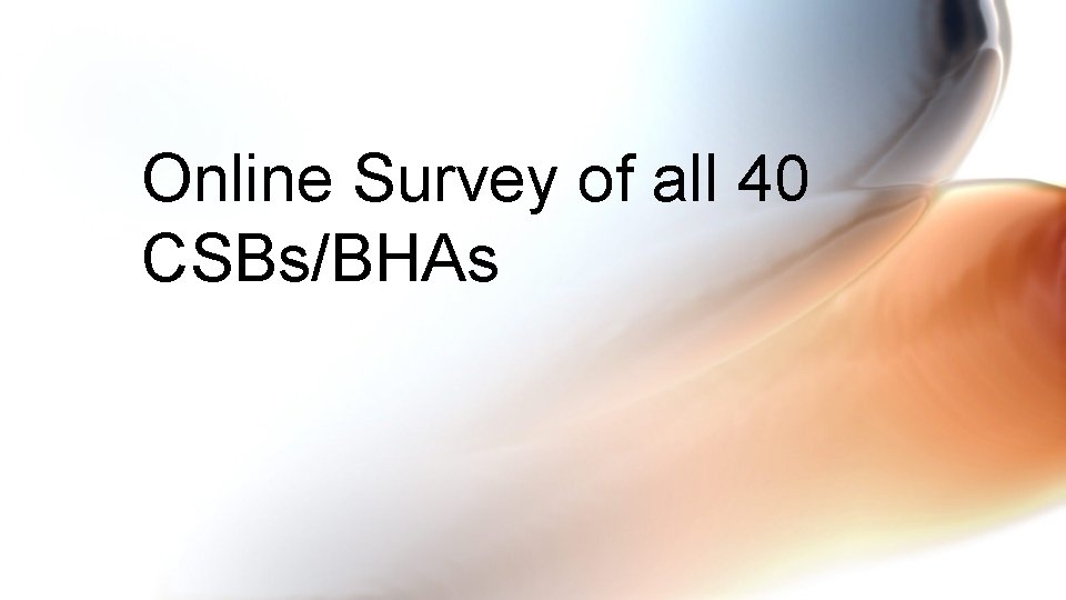 Online Survey of all 40 CSBs/BHAs 