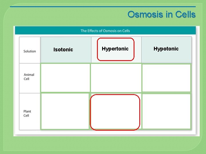 Osmosis in Cells Isotonic Hypertonic Hypotonic 