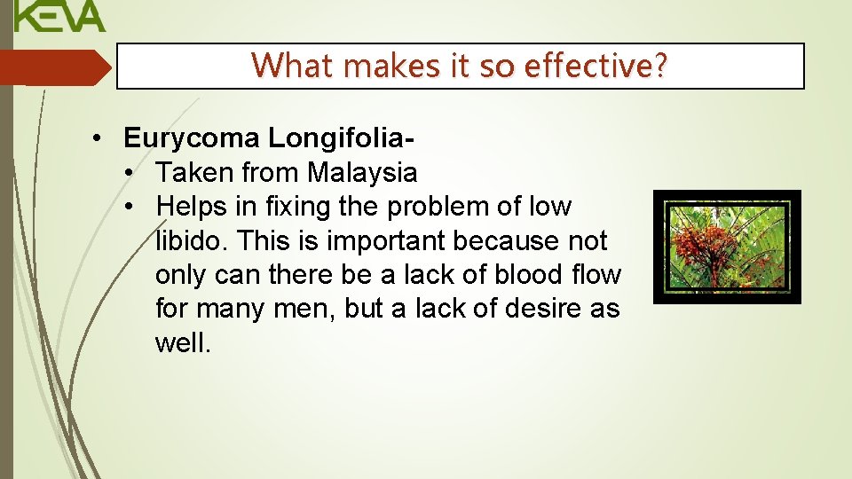 What makes it so effective? • Eurycoma Longifolia • Taken from Malaysia • Helps