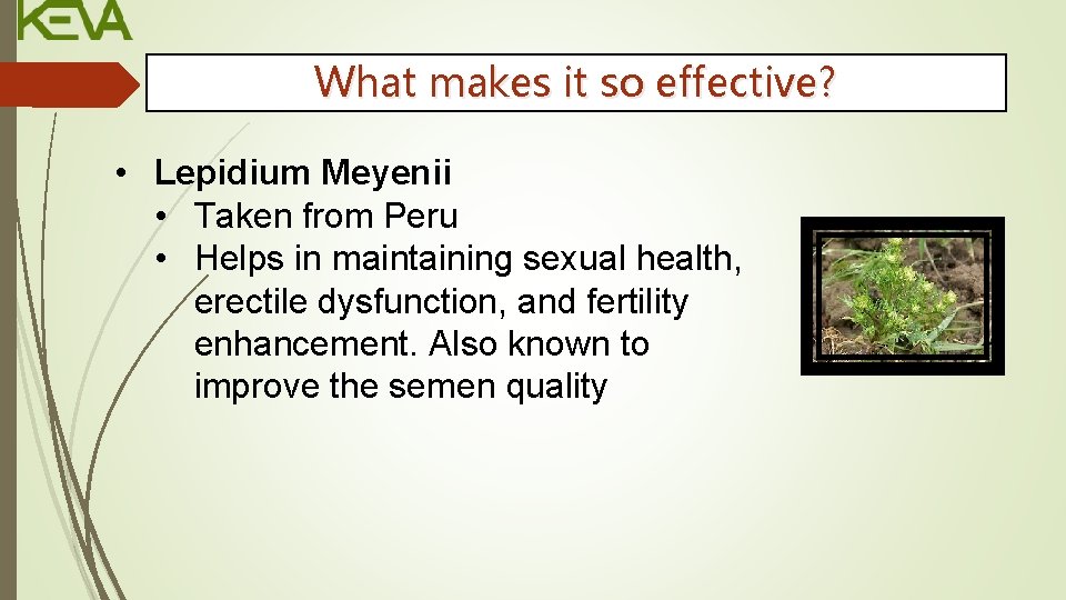 What makes it so effective? • Lepidium Meyenii • Taken from Peru • Helps