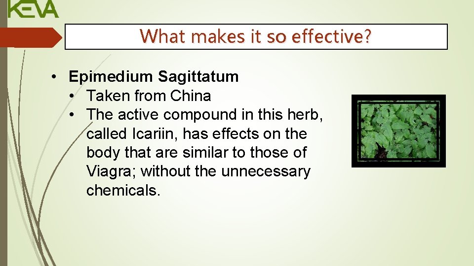 What makes it so effective? • Epimedium Sagittatum • Taken from China • The