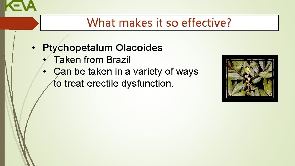 What makes it so effective? • Ptychopetalum Olacoides • Taken from Brazil • Can
