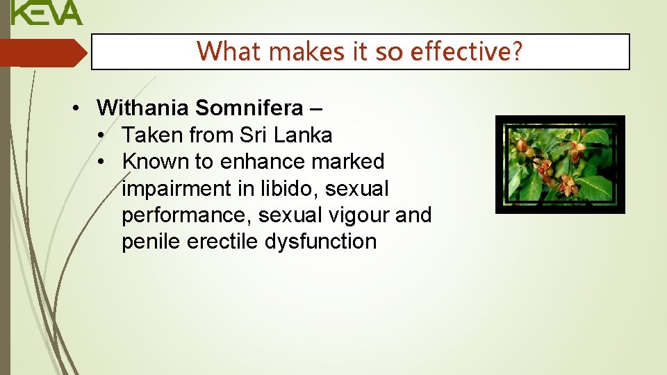 What makes it so effective? • Withania Somnifera – • Taken from Sri Lanka