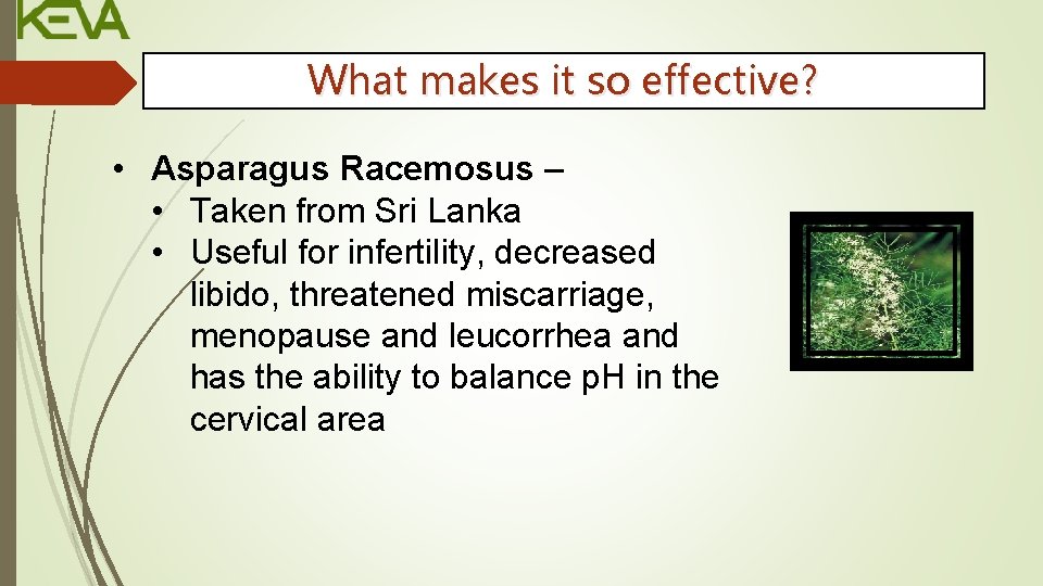 What makes it so effective? • Asparagus Racemosus – • Taken from Sri Lanka