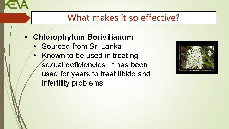 What makes it so effective? • Chlorophytum Borivilianum • Sourced from Sri Lanka •