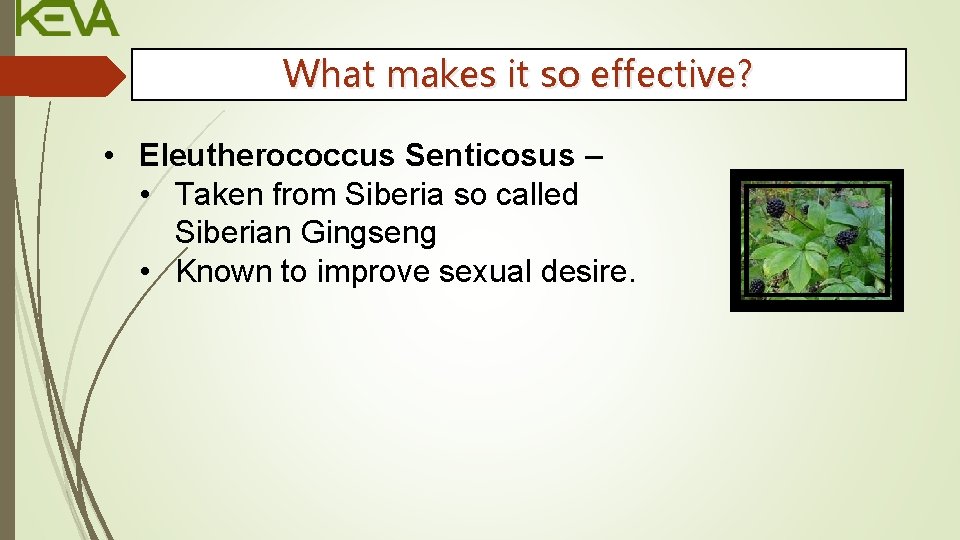 What makes it so effective? • Eleutherococcus Senticosus – • Taken from Siberia so