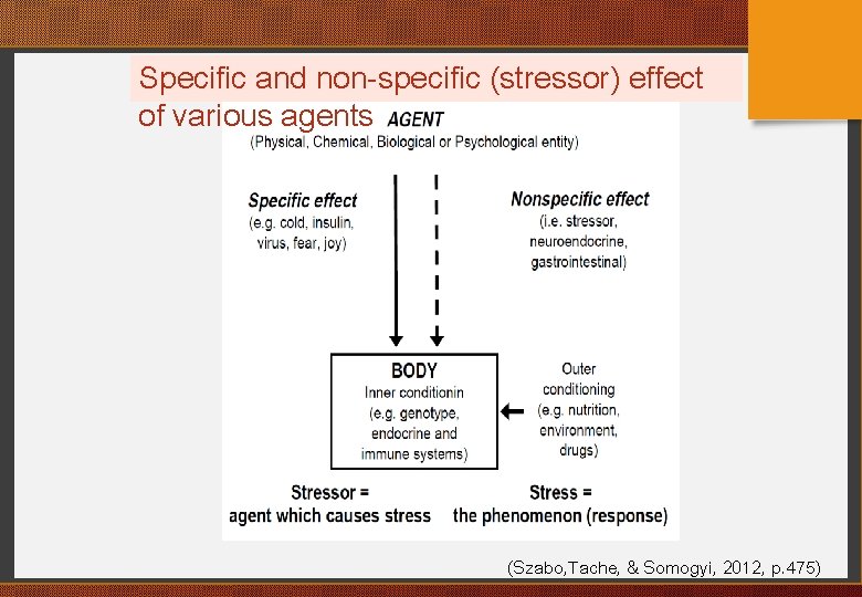 Specific and non-specific (stressor) effect of various agents (Szabo, Tache, & Somogyi, 2012, p.