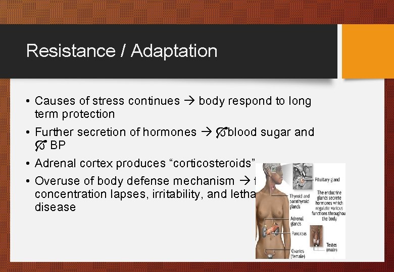 Resistance / Adaptation • Causes of stress continues body respond to long term protection