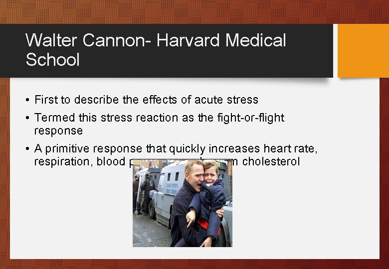 Walter Cannon- Harvard Medical School • First to describe the effects of acute stress