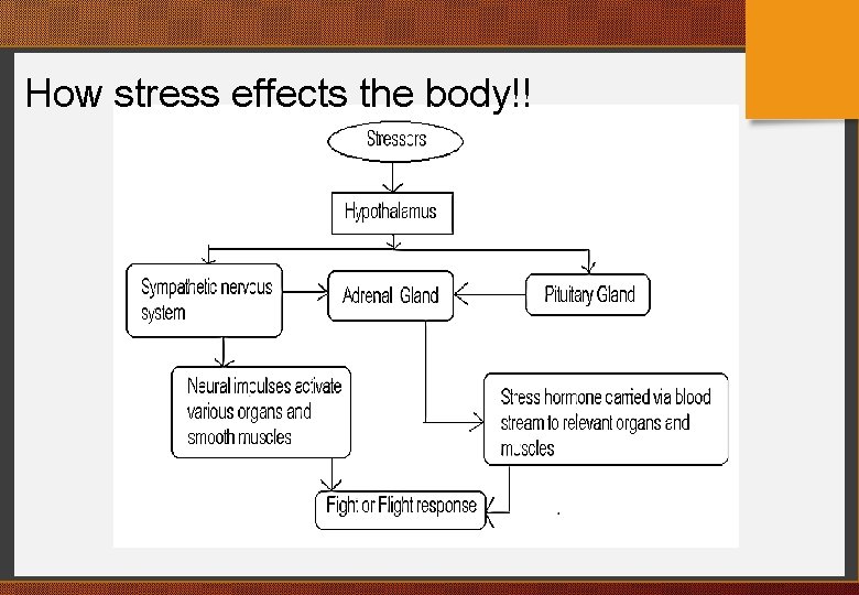 How stress effects the body!! 