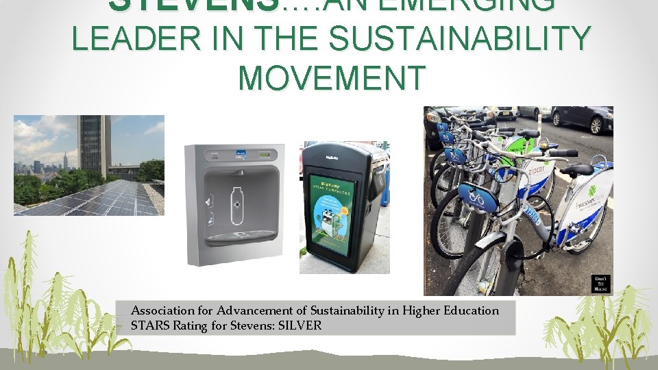 STEVENS…. AN EMERGING LEADER IN THE SUSTAINABILITY MOVEMENT Association for Advancement of Sustainability in