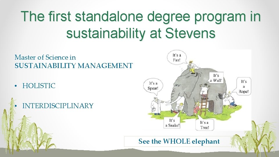 The first standalone degree program in sustainability at Stevens Master of Science in SUSTAINABILITY