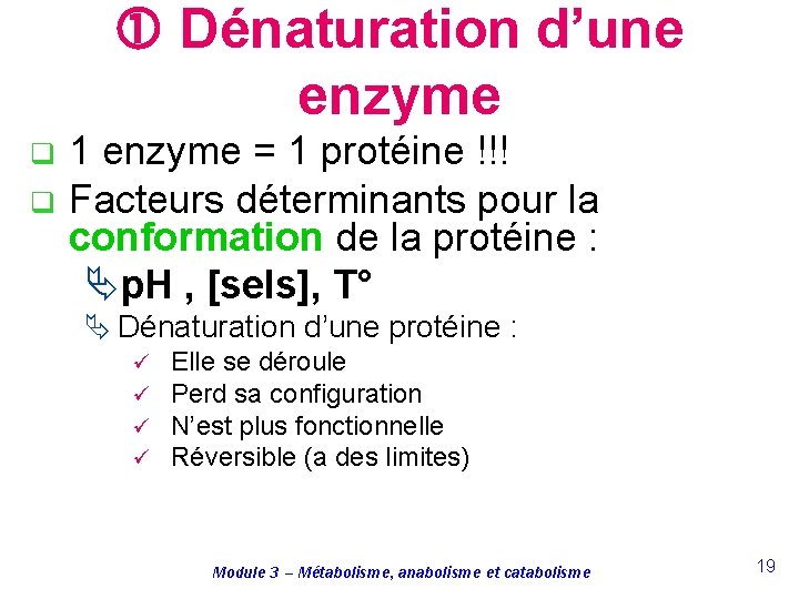  Dénaturation d’une enzyme q q 1 enzyme = 1 protéine !!! Facteurs déterminants