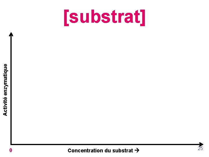 Activité enzymatique [substrat] 0 Concentration du substrat 25 