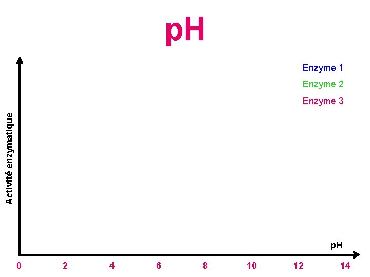 p. H Enzyme 1 Enzyme 2 Activité enzymatique Enzyme 3 p. H 0 2