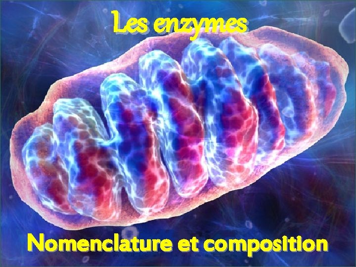 Les enzymes Nomenclature et composition 