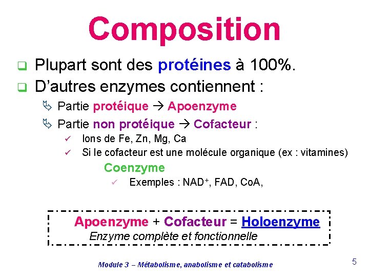 Composition q q Plupart sont des protéines à 100%. D’autres enzymes contiennent : Ä