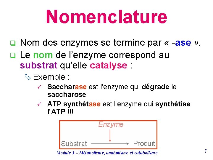 Nomenclature q q Nom des enzymes se termine par « -ase » . Le