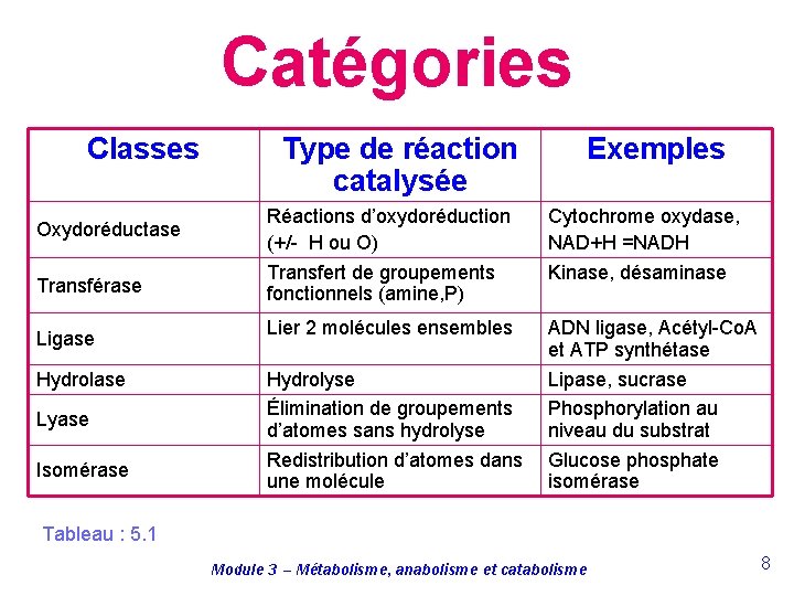 Catégories Classes Oxydoréductase Transférase Ligase Hydrolase Lyase Isomérase Type de réaction catalysée Exemples Réactions