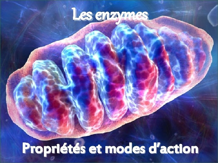 Les enzymes Propriétés et modes d’action 