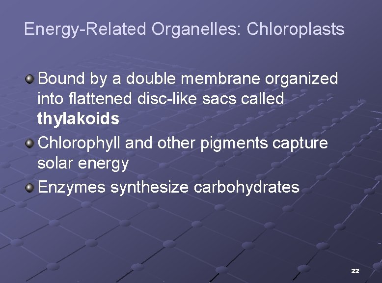 Energy-Related Organelles: Chloroplasts Bound by a double membrane organized into flattened disc-like sacs called