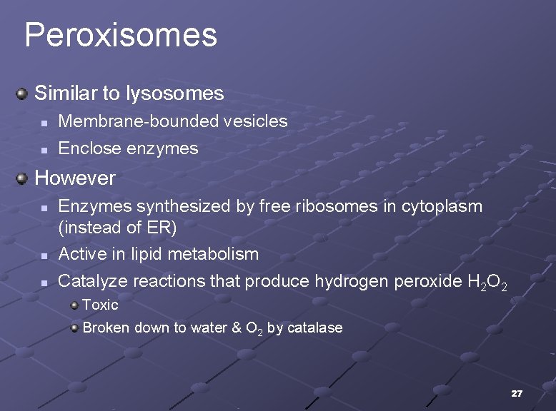 Peroxisomes Similar to lysosomes n n Membrane-bounded vesicles Enclose enzymes However n n n