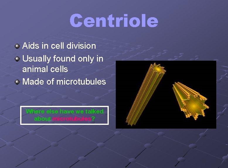 Centriole Aids in cell division Usually found only in animal cells Made of microtubules