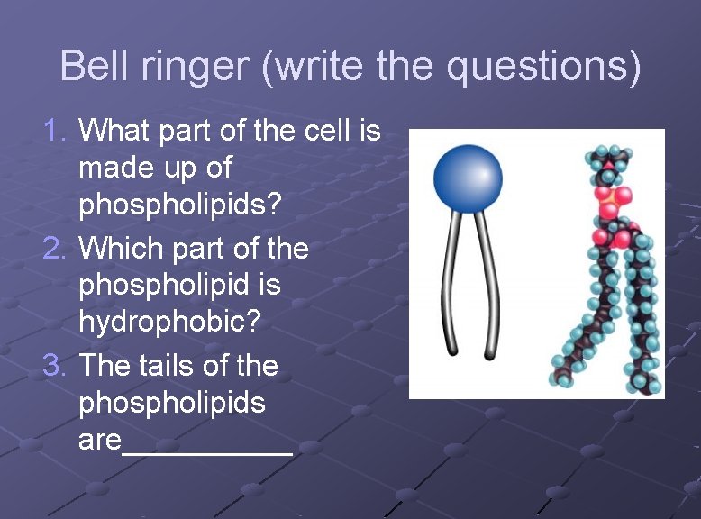 Bell ringer (write the questions) 1. What part of the cell is made up