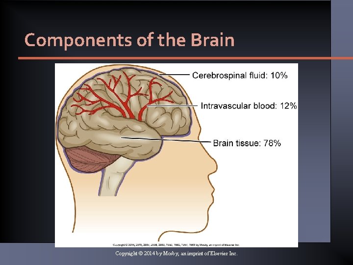 Components of the Brain Copyright © 2014 by Mosby, an imprint of Elsevier Inc. Components of the Brain Copyright © 2014 by Mosby, an imprint of Elsevier Inc.