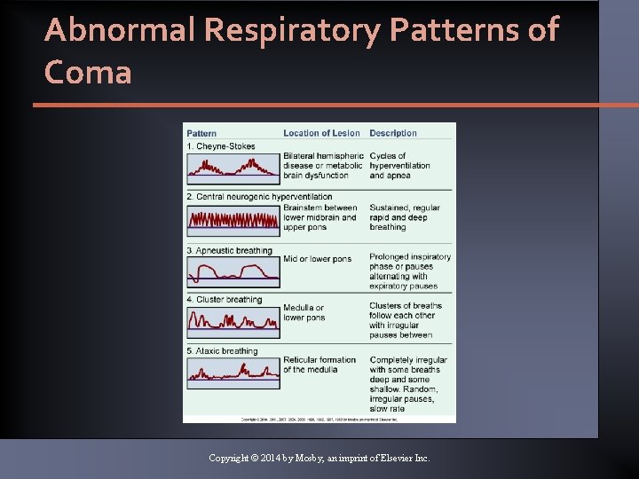 Abnormal Respiratory Patterns of Coma Copyright © 2014 by Mosby, an imprint of Elsevier Abnormal Respiratory Patterns of Coma Copyright © 2014 by Mosby, an imprint of Elsevier