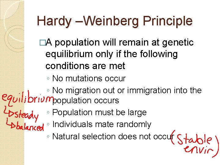 Hardy –Weinberg Principle �A population will remain at genetic equilibrium only if the following