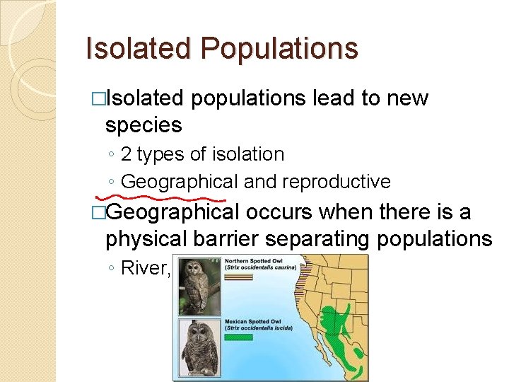 Isolated Populations �Isolated populations lead to new species ◦ 2 types of isolation ◦