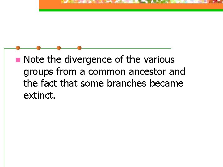 n Note the divergence of the various groups from a common ancestor and the