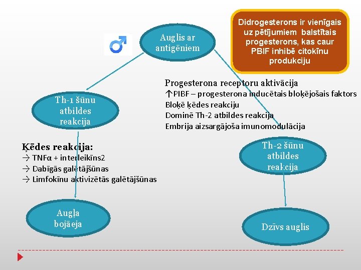 Auglis ar antigēniem Th-1 šūnu atbildes reakcija Ķēdes reakcija: → TNFα + interleikīns 2