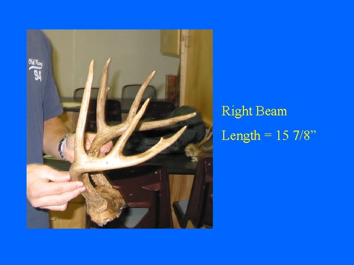 Right Beam Length = 15 7/8” 