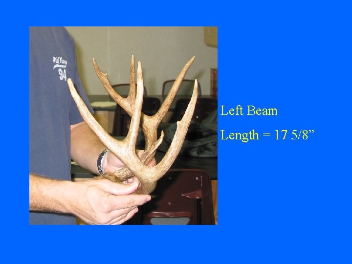 Left Beam Length = 17 5/8” 