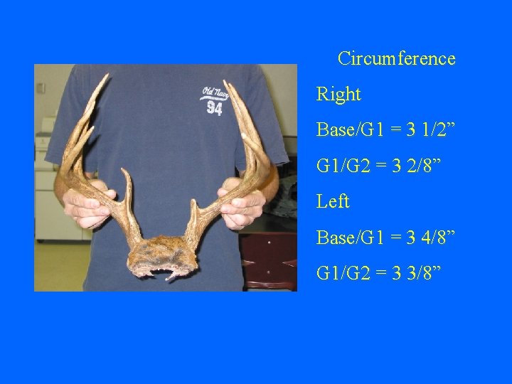 Circumference Right Base/G 1 = 3 1/2” G 1/G 2 = 3 2/8” Left