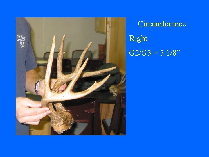 Circumference Right G 2/G 3 = 3 1/8” 