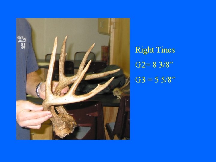 Right Tines G 2= 8 3/8” G 3 = 5 5/8” 