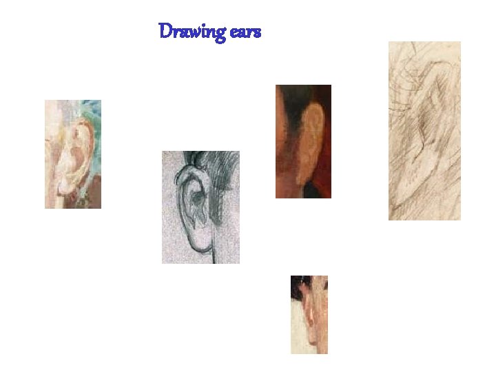 Drawing ears 