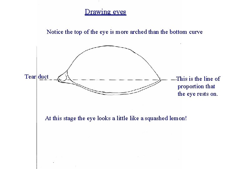 Drawing eyes Notice the top of the eye is more arched than the bottom